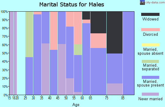 Zip code 36855 marital status for males