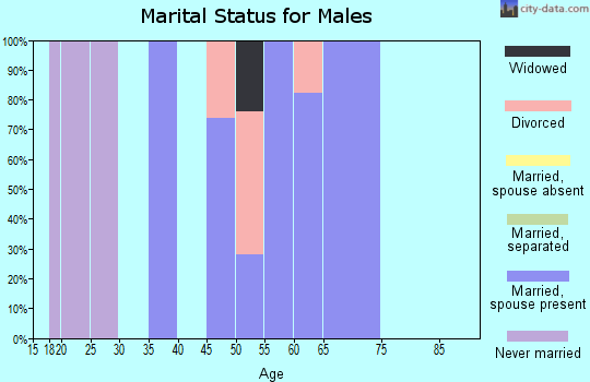 Zip code 36858 marital status for males