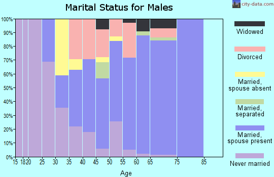 Zip code 36861 marital status for males