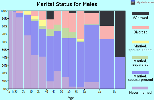 Zip code 36863 marital status for males