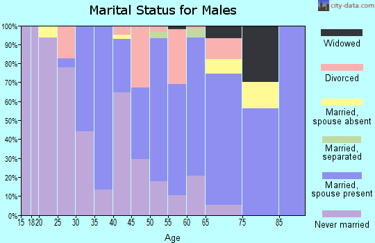 Zip code 36866 marital status for males