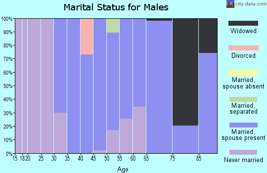 Zip code 36908 marital status for males