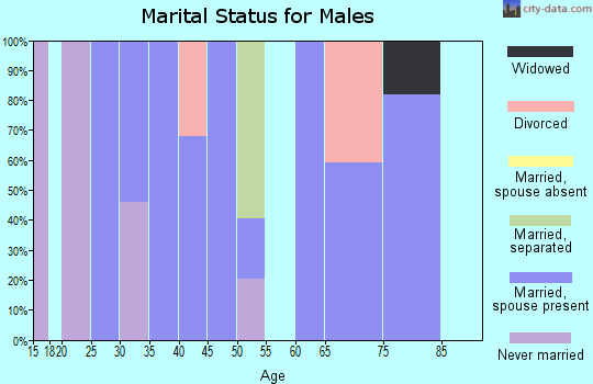 Zip code 36921 marital status for males