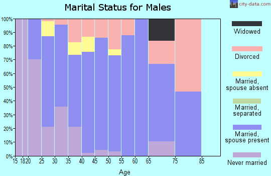 Zip code 37037 marital status for males