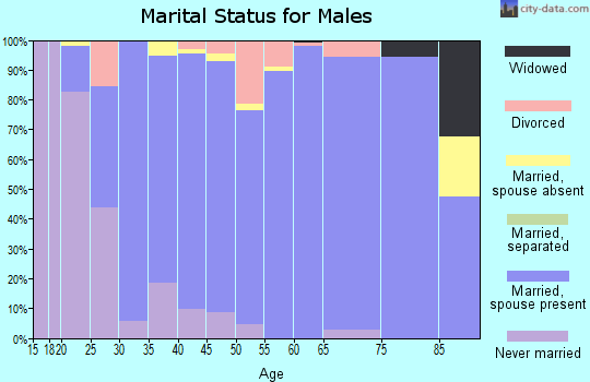 Zip code 37069 marital status for males
