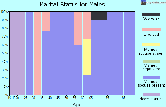 Zip code 37079 marital status for males