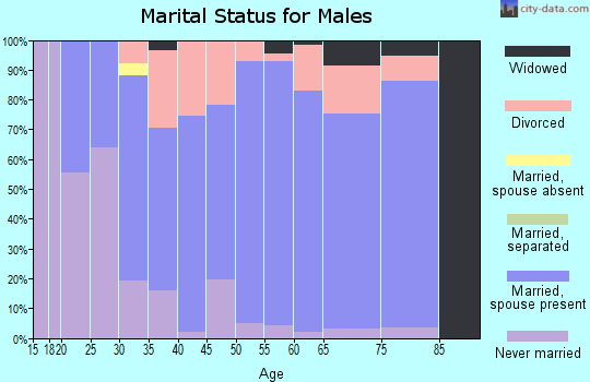 Zip code 37080 marital status for males
