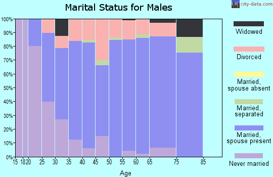 Zip code 37082 marital status for males