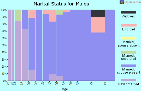 Zip code 37085 marital status for males