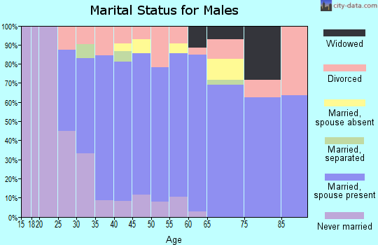 Zip code 37090 marital status for males