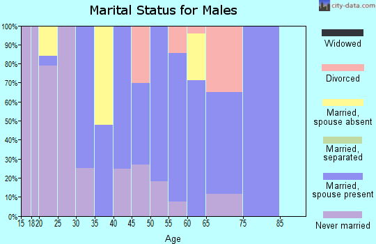 Zip code 37095 marital status for males