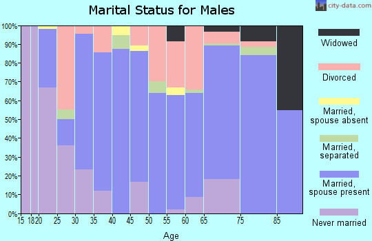 Zip code 37101 marital status for males