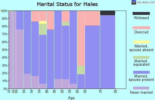 Zip code 37137 marital status for males