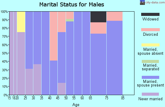 Zip code 37141 marital status for males