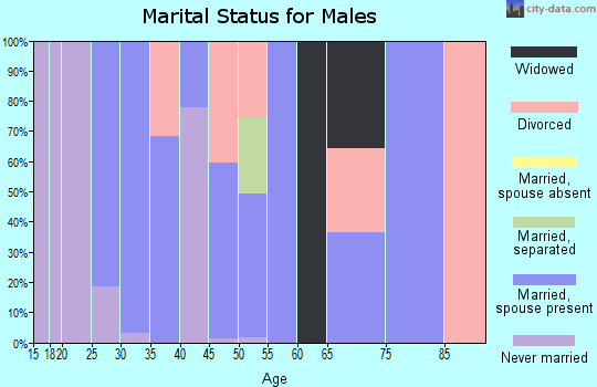 Zip code 37142 marital status for males