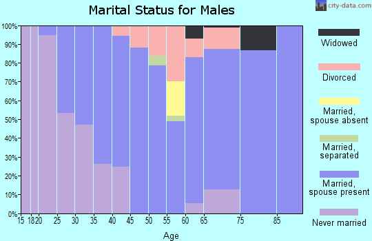 Zip code 37143 marital status for males