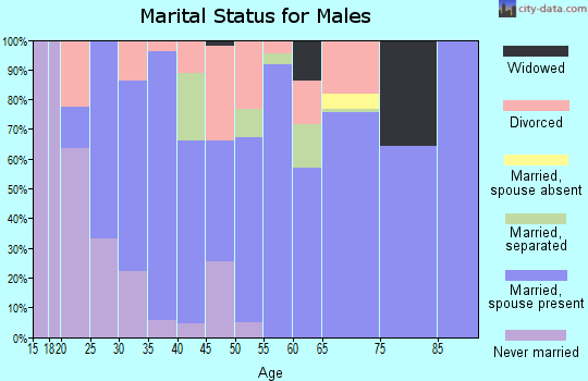 Zip code 37144 marital status for males