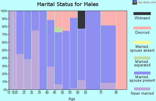 Zip code 37145 marital status for males