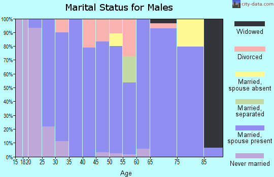 Zip code 37146 marital status for males