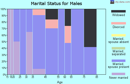 Zip code 37147 marital status for males
