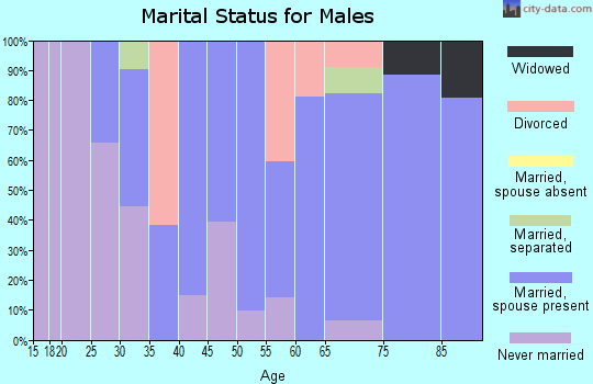 Zip code 37149 marital status for males