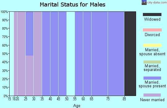 Zip code 37151 marital status for males