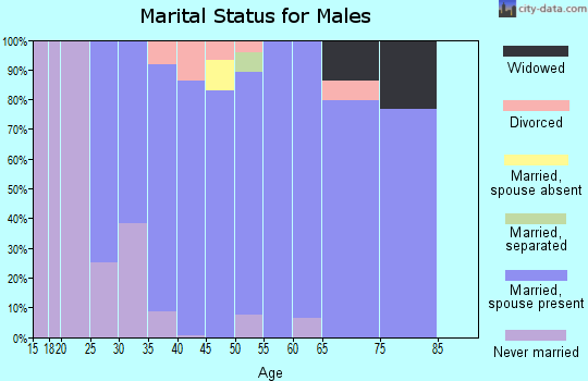 Zip code 37153 marital status for males