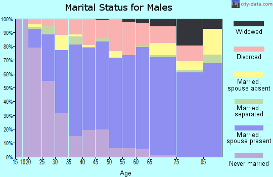 Zip code 37160 marital status for males