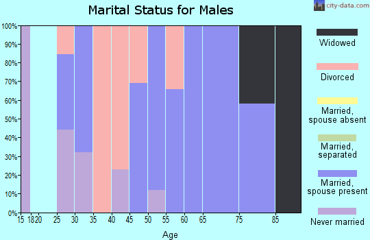 Zip code 37175 marital status for males