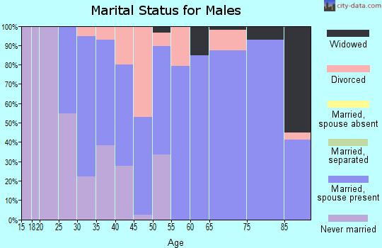 Zip code 37183 marital status for males