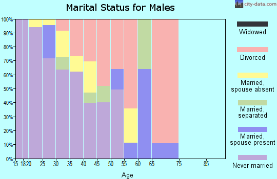 Zip code 37201 marital status for males