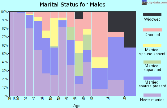 Zip code 37203 marital status for males