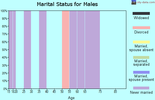Zip code 37213 marital status for males