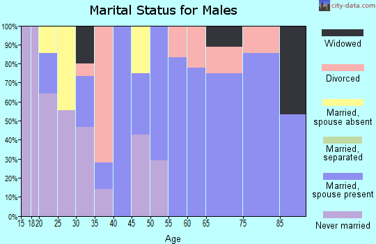 Zip code 37305 marital status for males