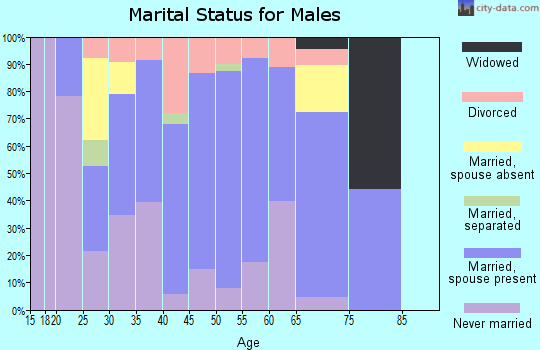 Zip code 37307 marital status for males