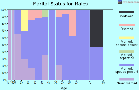 Zip code 37308 marital status for males