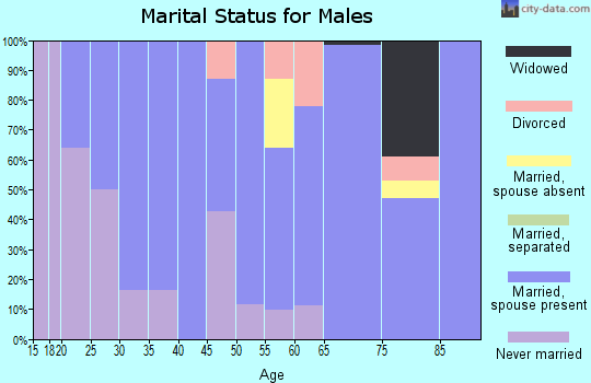 Zip code 37313 marital status for males
