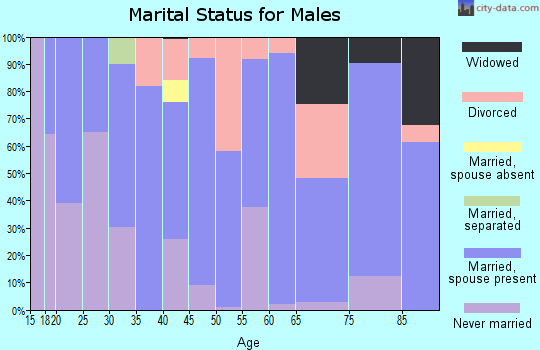 Zip code 37317 marital status for males