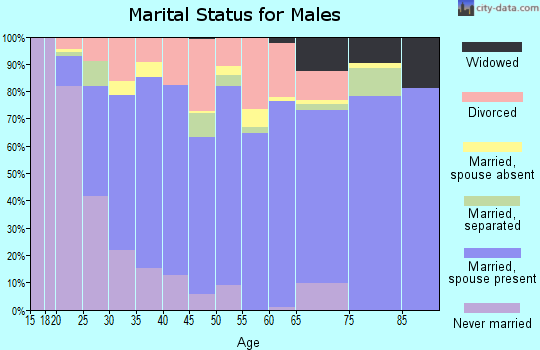 Zip code 37323 marital status for males