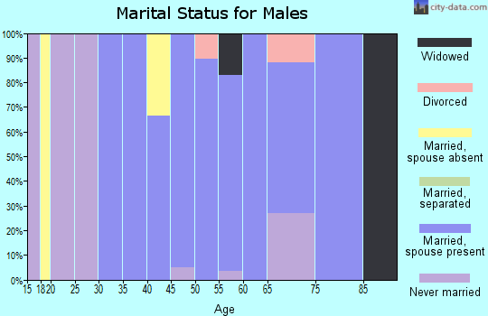 Zip code 37325 marital status for males
