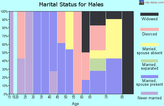 Zip code 37326 marital status for males
