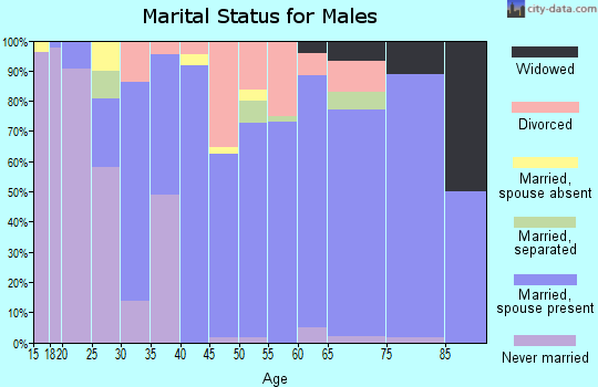 Zip code 37329 marital status for males