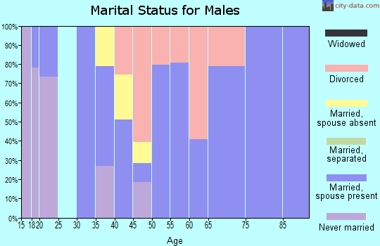 Zip code 37332 marital status for males