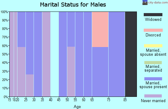 Zip code 37333 marital status for males