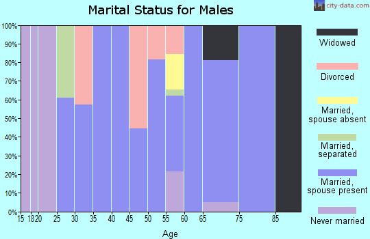 Zip code 37335 marital status for males