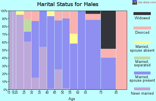 Zip code 37336 marital status for males