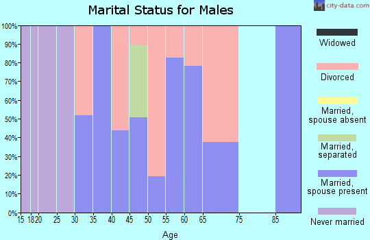 Zip code 37337 marital status for males