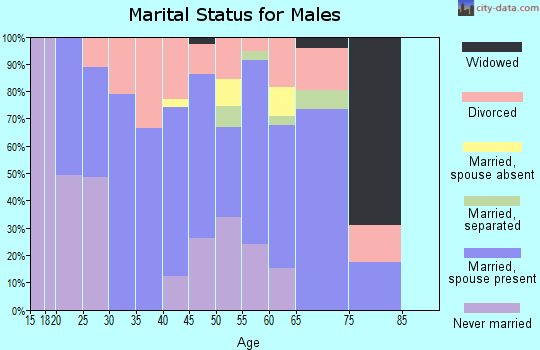 Zip code 37338 marital status for males