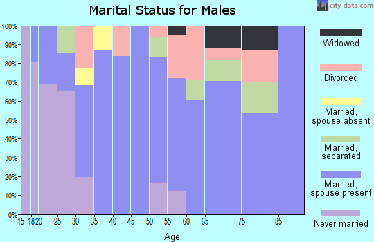 Zip code 37339 marital status for males