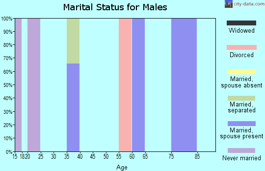 Zip code 37340 marital status for males